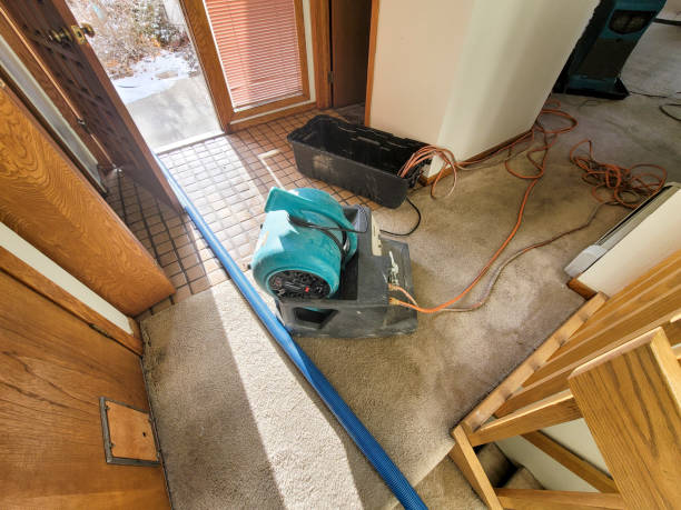 Best Water damage mitigation services  in Friend, NE