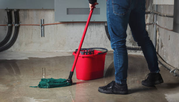 Best Residential water damage restoration  in Friend, NE