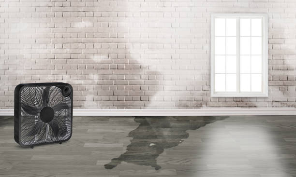 Best Water damage restoration near me  in Friend, NE