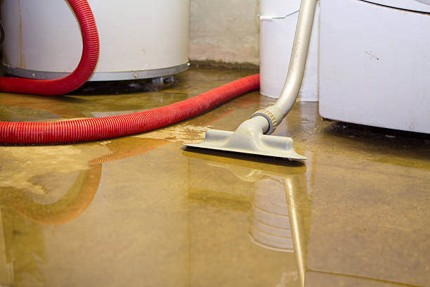 Best Ceiling water damage repair  in Friend, NE