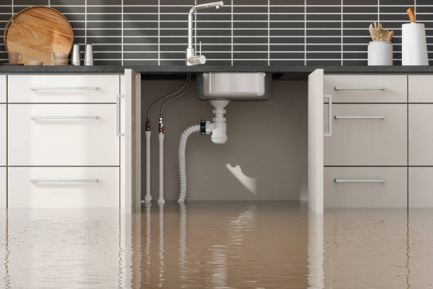 Best Mold removal after water damage  in Friend, NE