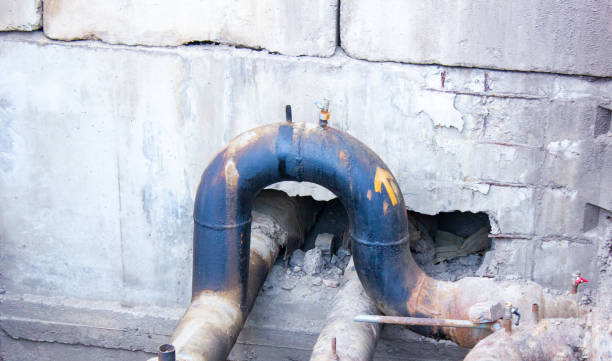 Best Professional water damage repair  in Friend, NE
