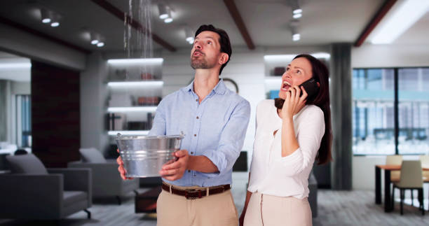 Best Water damage contractors near me  in Friend, NE