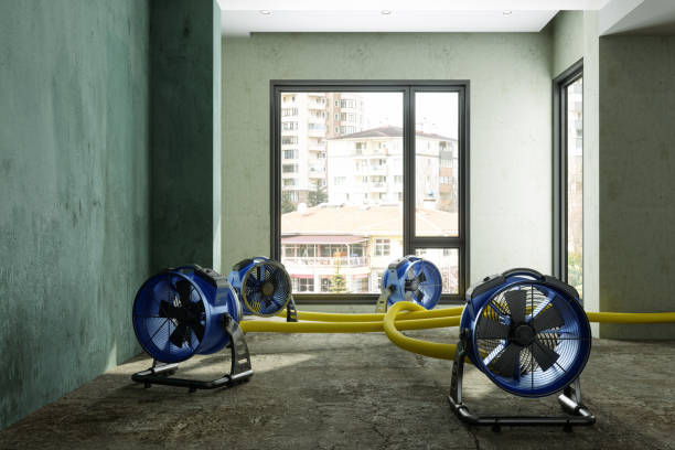 Best Water damage restoration insurance claims  in Friend, NE
