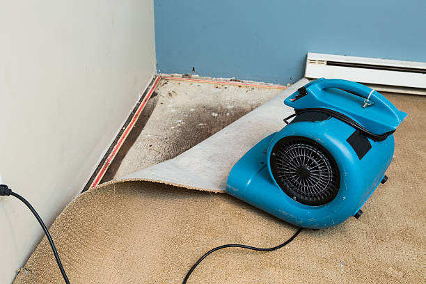 Best Emergency water damage restoration  in Friend, NE